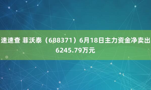 速速查 菲沃泰（688371）6月18日主力资金净卖出6245.79万元